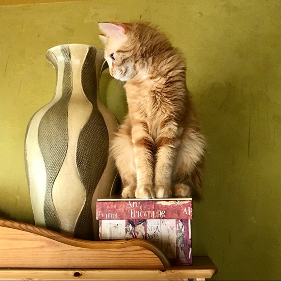 We Didn’t Win Our War With Cancer - Picture 6 of 8